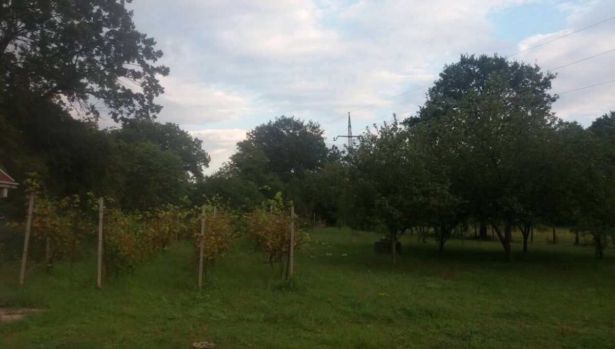 IMG-1034