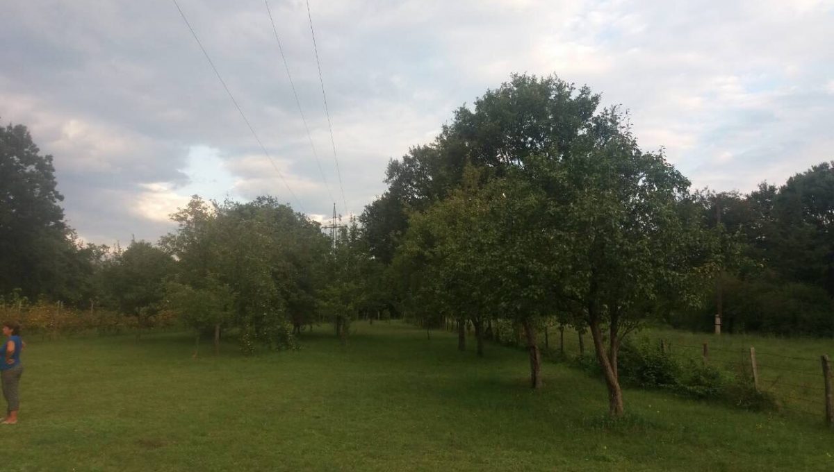 IMG-1041
